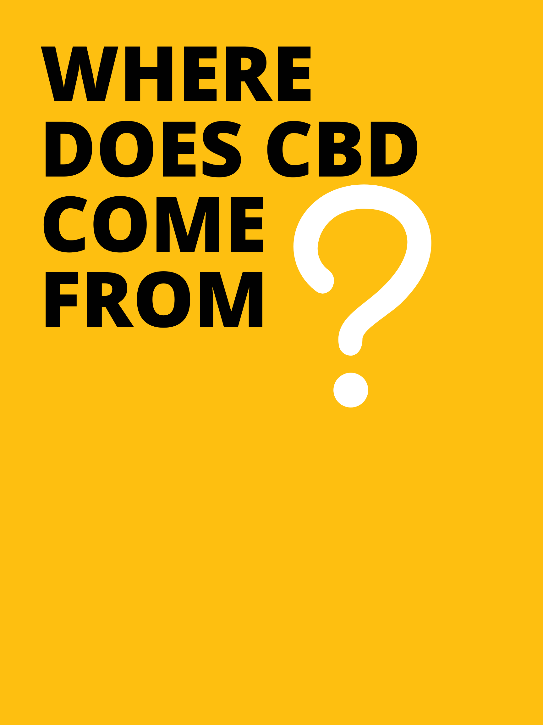 Comment consommer du CBD sans fumer ?