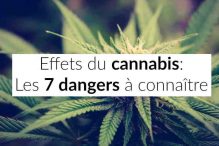 Quelles sont les dangers du cannabis ?