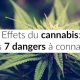 Quelles sont les dangers du cannabis ?