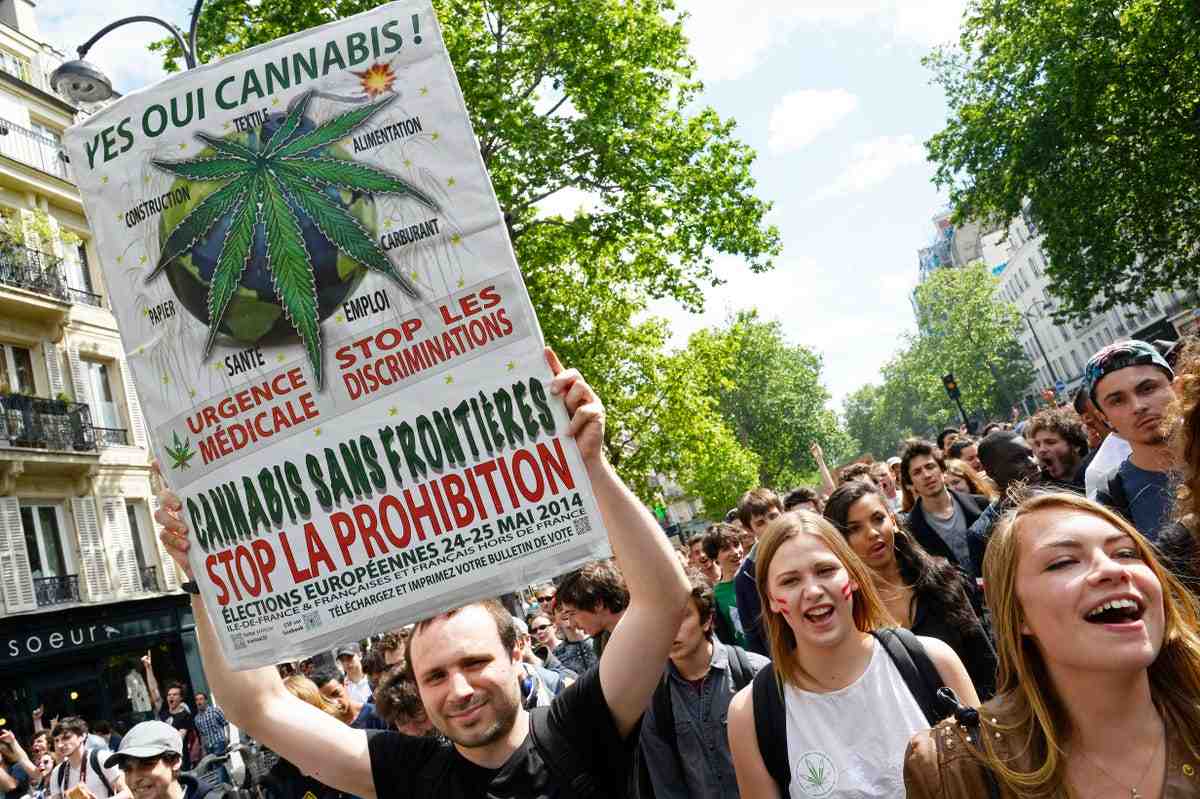 Quel CBD défoncé le plus ?